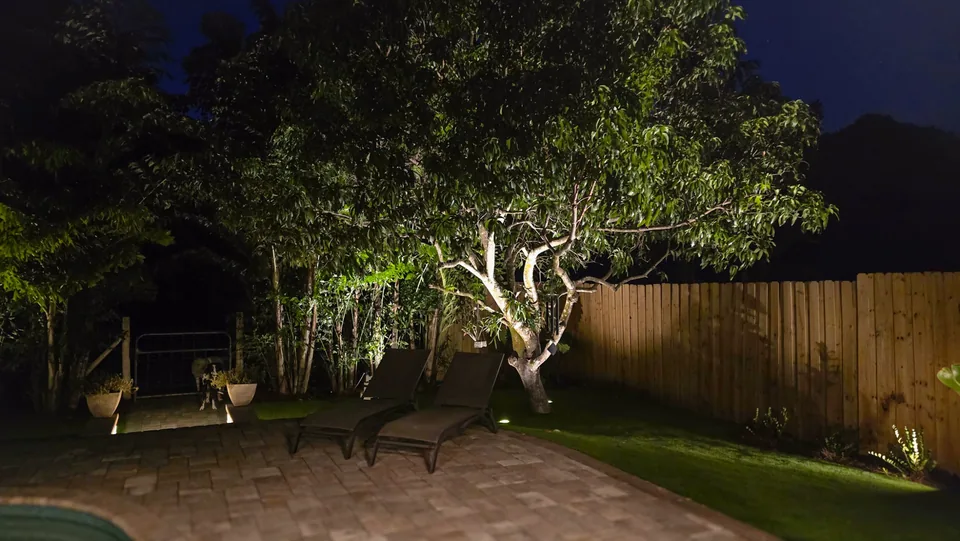 A back yard at night with a spreading shade tree uplit over a paver patio and a wooden fence