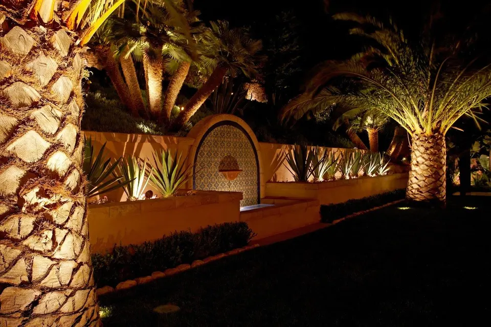Sylvester palms lit in front of a courtyard wall