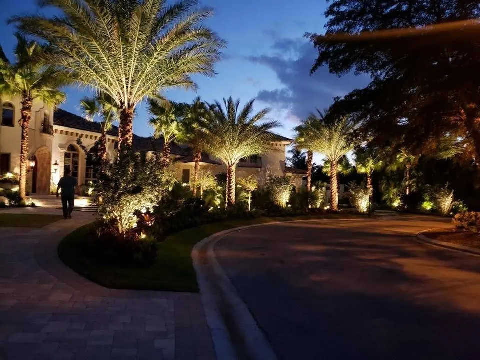 Date palms uplit along a curving estate drive at dusk