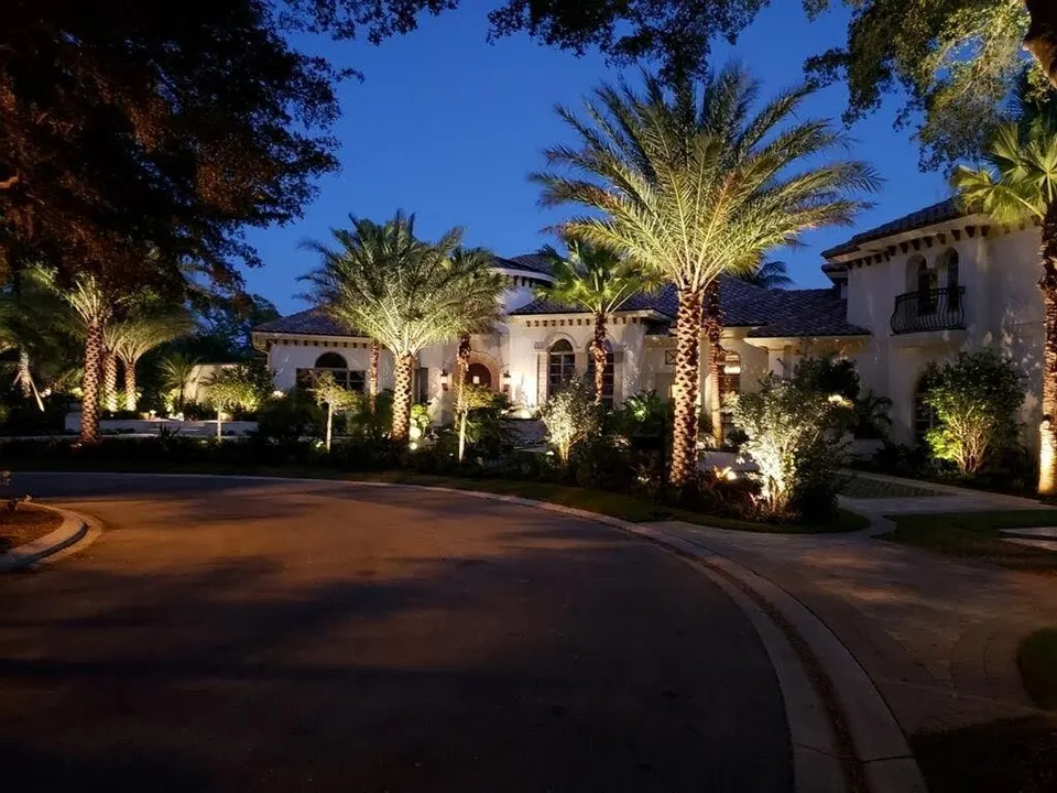 A Naples estate at dusk with date palms uplit along a curving drive