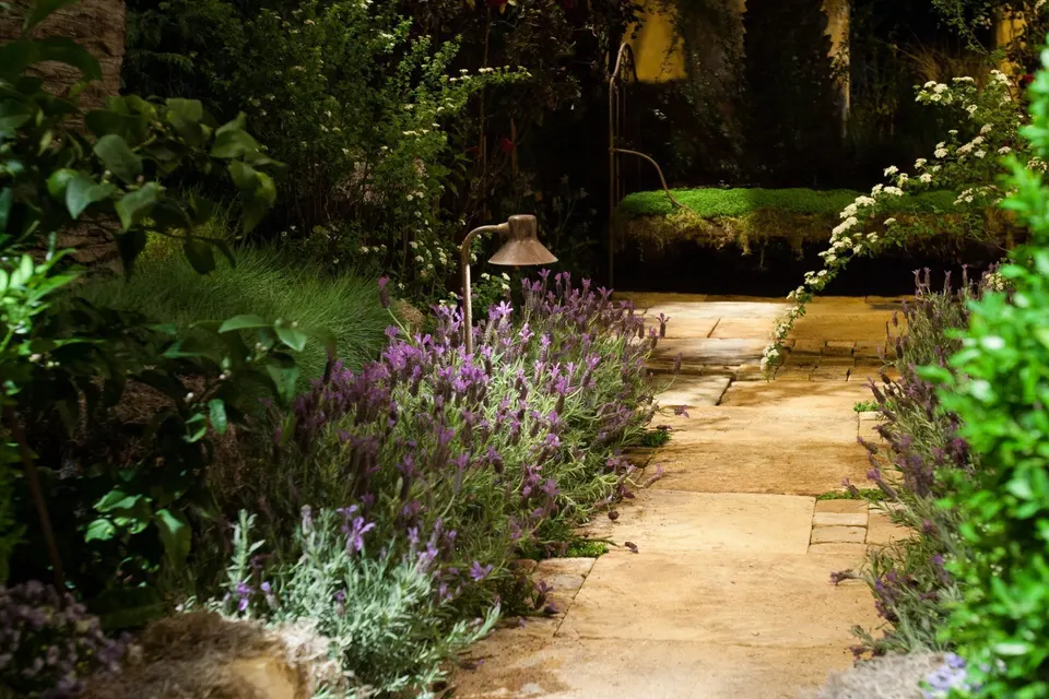 A garden path at night with a shaded path light among lavender, the paving softly lit ahead