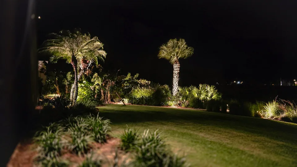 A lawn at night running toward dark water, palms and low planting lit along its edge