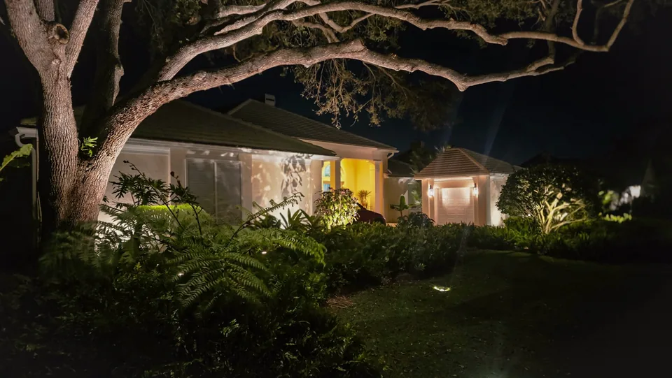A live oak lit from below, its limbs arching over a front garden and entry at night