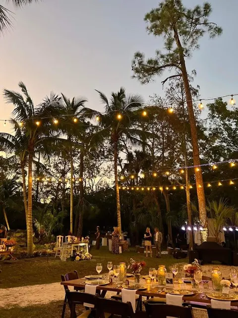 Strings of warm lights hung over an outdoor dinner at dusk beneath tall pines