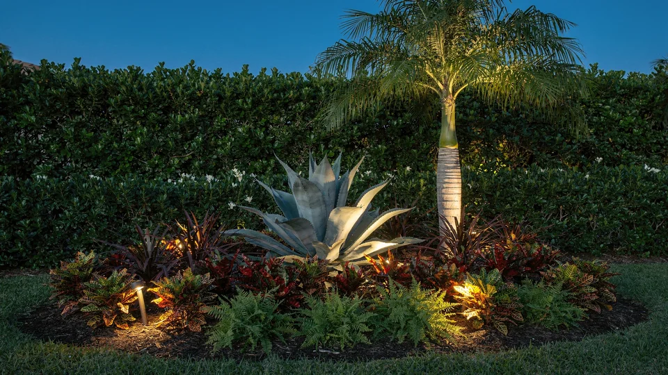 Illustration of a planted bed at dusk, bromeliads and crotons along its front edge lit low from inside the bed