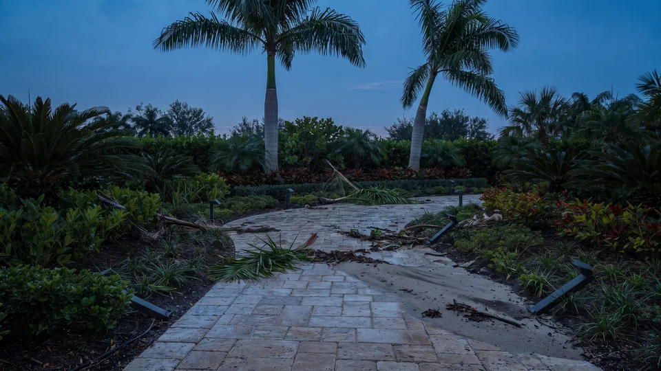 Illustration of a garden walk after heavy weather, with path lights knocked over and debris on the pavers