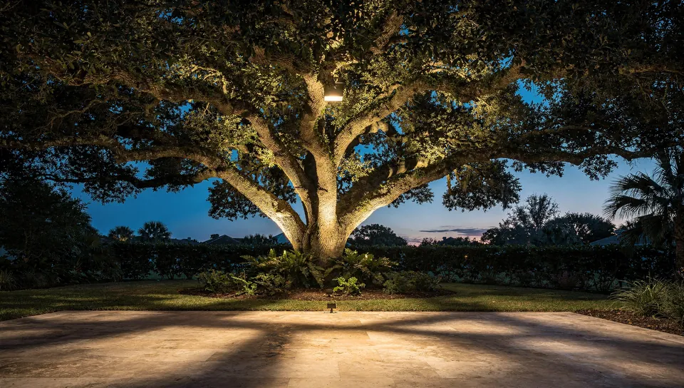 Illustration of a broad oak lit softly from inside its canopy, the lawn beyond in shadow