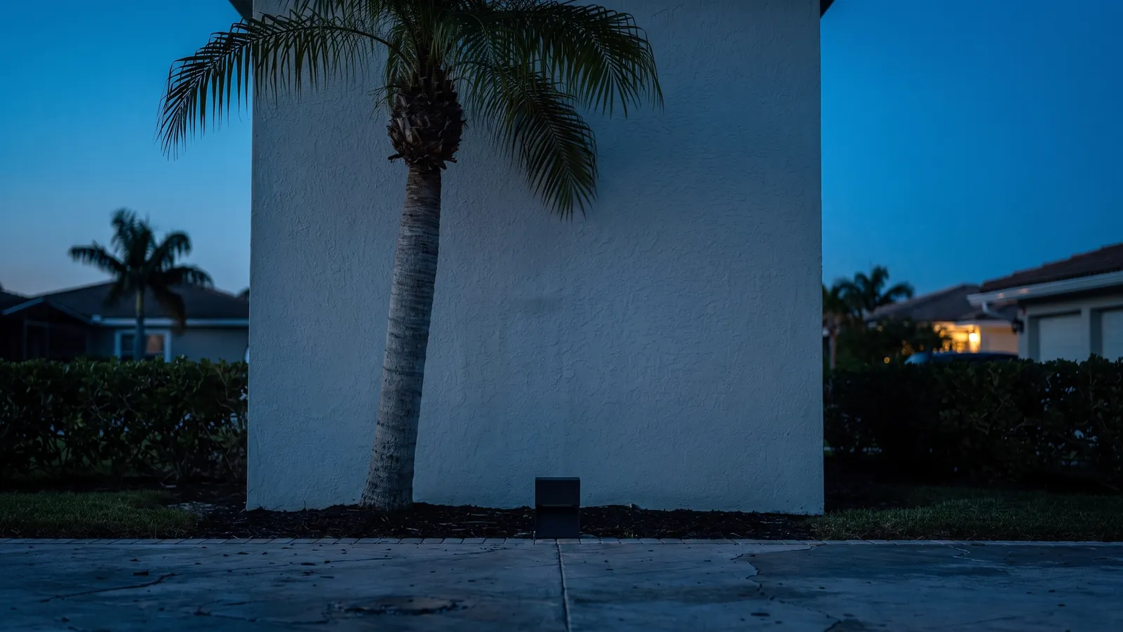 A palm in front of a plain stucco wall at dusk with one fixture set forward of it