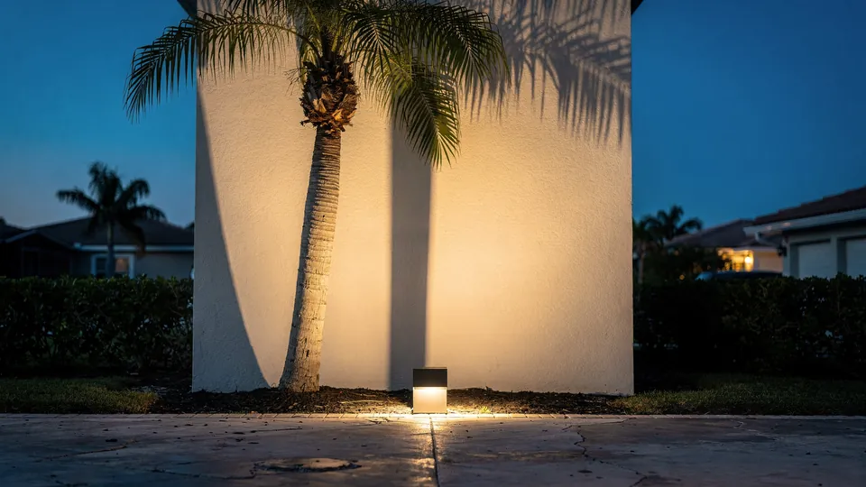 Illustration of a palm lit from the front so its shadow falls across a pale stucco wall