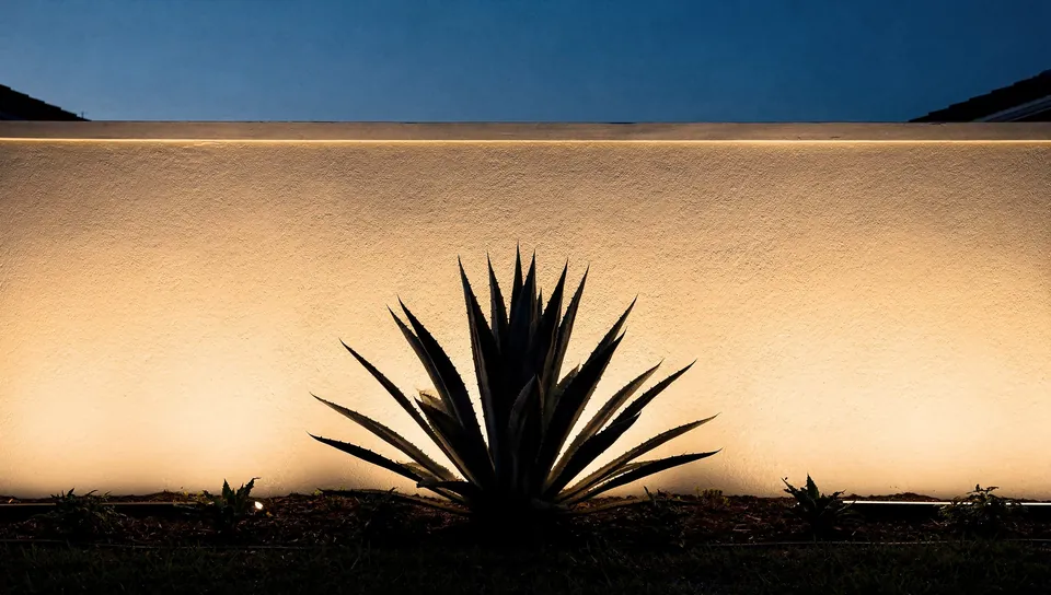 Illustration of an agave silhouetted against a softly lit wall at night